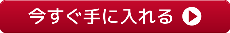 今すぐ手に入れる